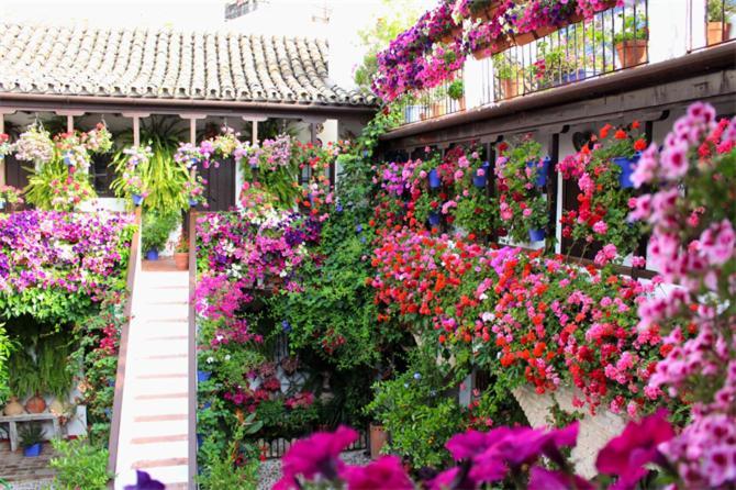 Apartamentos Los Patios De San Agustin Kordoba Bagian luar foto